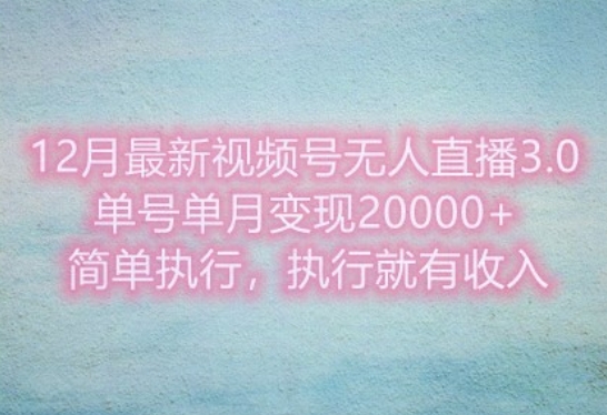 12月最新视频号无人直播3.0，单号单月变现过w，简单执行，执行就有收入网创项目-副业赚钱-互联网创业-资源整合冒泡网