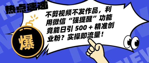 不剪视频不发作品，视频号私信日引 500 + 精准创业粉?实操即流量!网创项目-副业赚钱-互联网创业-资源整合冒泡网