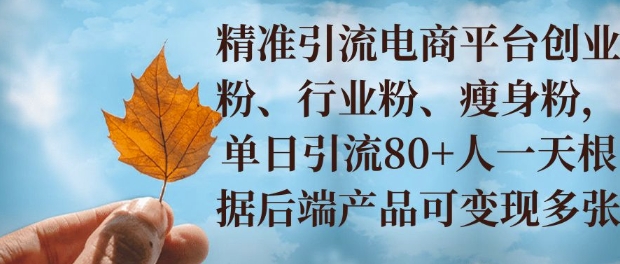 小投资撬动大收益，精准引流创业粉、行业粉，单日引流80+，一天可变现多张网创项目-副业赚钱-互联网创业-资源整合冒泡网