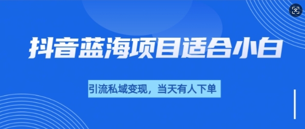 抖音蓝海小赛道私域变现项目，单价9.9单天变现100+，实操玩法分享给你网创项目-副业赚钱-互联网创业-资源整合冒泡网