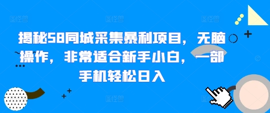 揭秘58同城采集暴利项目，无脑操作，非常适合新手小白，一部手机轻松日入网创项目-副业赚钱-互联网创业-资源整合冒泡网