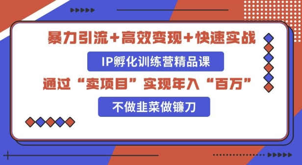 知识付费独家玩法：精准引流+高效变现，简单复制成功模式，最新IP共创导师训练营玩法网创项目-副业赚钱-互联网创业-资源整合冒泡网