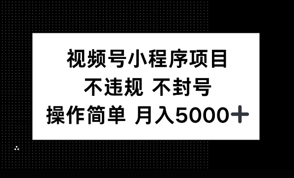 视频号小程序项目，不违规不封号，操作简单 月入5000+网创项目-副业赚钱-互联网创业-资源整合冒泡网