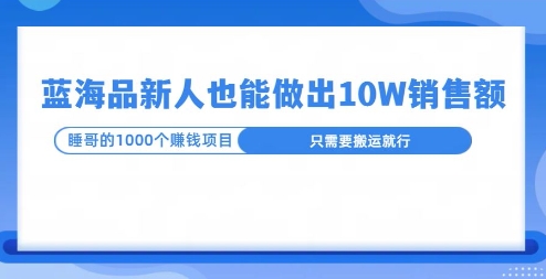 这个蓝海品，新号也能卖出10W的销售额，年底疯狂怼量就能出结果网创项目-副业赚钱-互联网创业-资源整合冒泡网