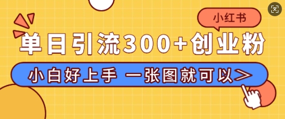 小红书单日引流300+创业粉，“简单粗暴”引流法，小白好上手，私信回不完网创项目-副业赚钱-互联网创业-资源整合冒泡网