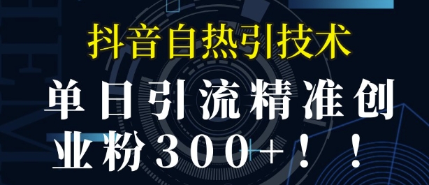 抖音自热引流，单日引流精准创业粉300+网创项目-副业赚钱-互联网创业-资源整合冒泡网