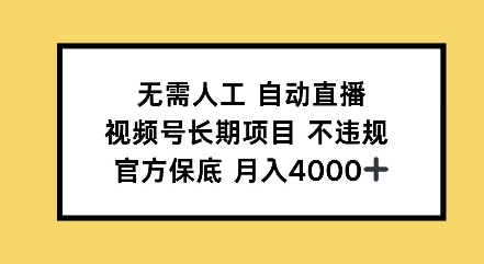 无需人工自动直播，视频号长期项目不违规，官方保底月入4000左右网创项目-副业赚钱-互联网创业-资源整合冒泡网