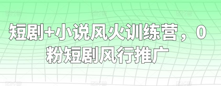 短剧+小说风火训练营，0粉短剧风行推广网创项目-副业赚钱-互联网创业-资源整合冒泡网