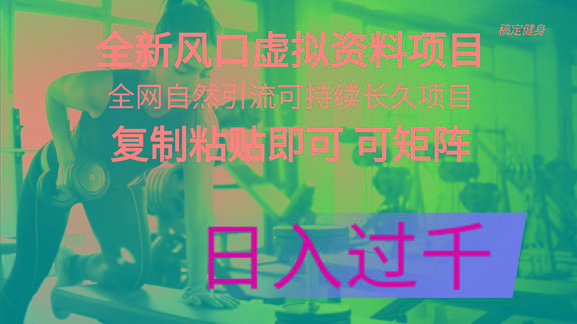 全新风口虚拟资料项目 全网自然引流可持续长久项目 复制粘贴即可可矩阵…网创项目-副业赚钱-互联网创业-资源整合冒泡网