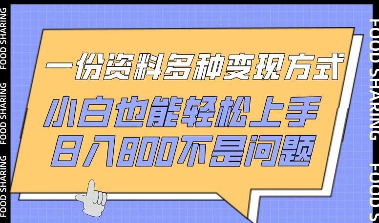 一份资料多种变现方式，小白也能轻松上手，日入800不是问题【揭秘】网创项目-副业赚钱-互联网创业-资源整合冒泡网