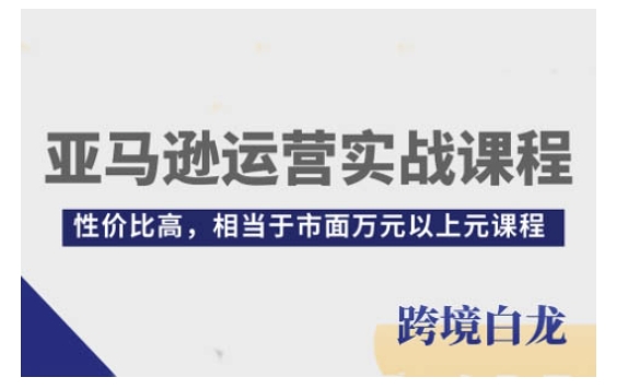 亚马逊运营实战课程，亚马逊从入门到精通，性价比高，相当于市面万元以上元课程网创项目-副业赚钱-互联网创业-资源整合冒泡网