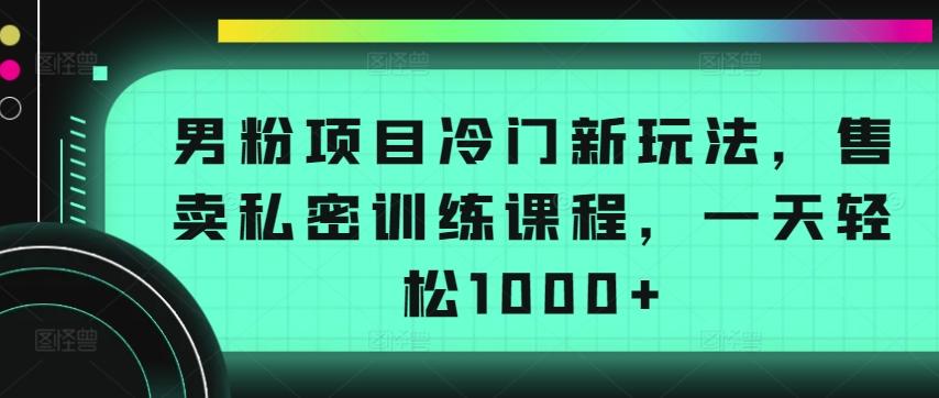 男粉项目冷门新玩法，售卖私密训练课程，一天轻松1000+【揭秘】网创项目-副业赚钱-互联网创业-资源整合冒泡网