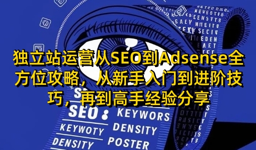 独立站运营从SEO到Adsense全方位攻略，从新手入门到进阶技巧，再到高手经验分享-冒泡网