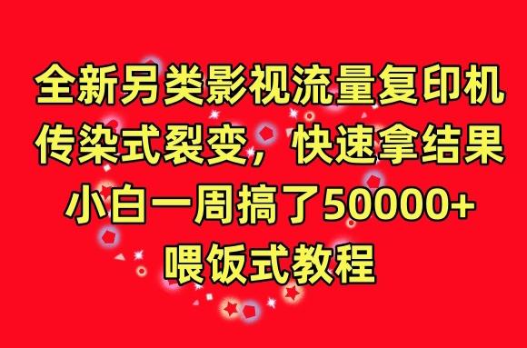 全新另类影视流量复印机，传染式裂变，快速拿结果，小白一周搞了50000+，喂饭式教程【揭秘】网创项目-副业赚钱-互联网创业-资源整合冒泡网