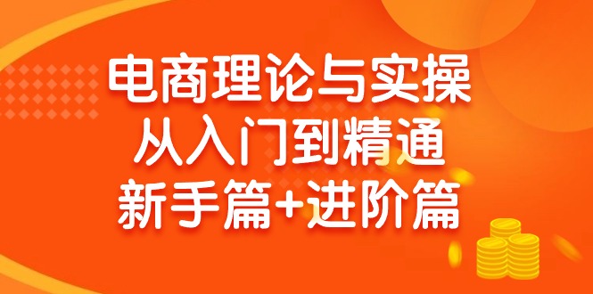 (9576期)电商理论与实操从入门到精通 新手篇+进阶篇网创项目-副业赚钱-互联网创业-资源整合冒泡网