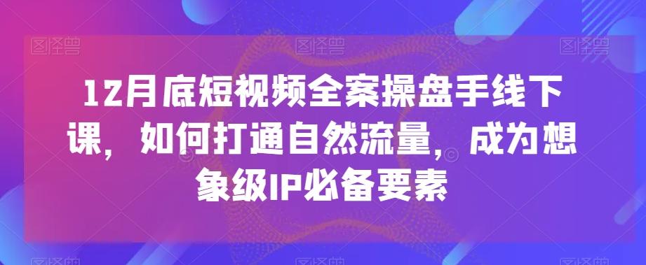 12月底短视频全案操盘手线下课，如何打通自然流量，成为想象级IP必备要素网创项目-副业赚钱-互联网创业-资源整合冒泡网