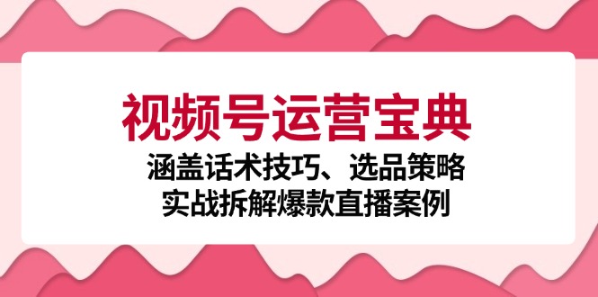 视频号运营宝典：涵盖话术技巧、选品策略、实战拆解爆款直播案例网创项目-副业赚钱-互联网创业-资源整合冒泡网