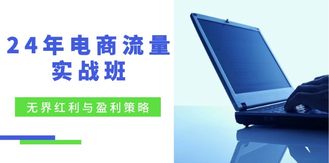 24年电商流量实战班：无界 红利与盈利策略，终极提升/关键词优化/精准…网创项目-副业赚钱-互联网创业-资源整合冒泡网