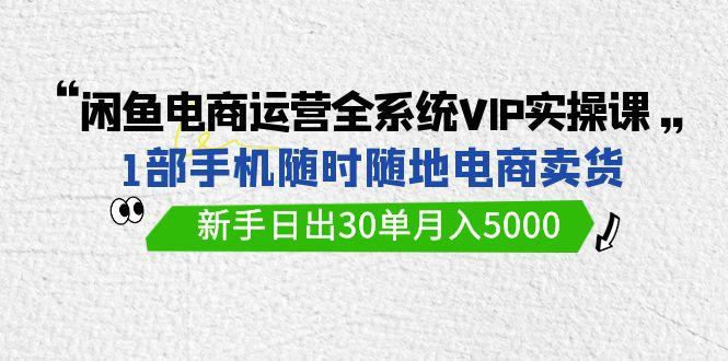 (9547期)闲鱼电商运营全系统VIP实战课，1部手机随时随地卖货，新手日出30单月入5000网创项目-副业赚钱-互联网创业-资源整合冒泡网