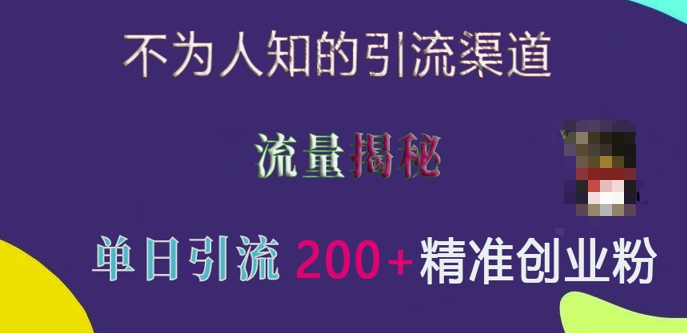 不为人知的引流渠道，流量揭秘，实测单日引流200+精准创业粉【揭秘】网创项目-副业赚钱-互联网创业-资源整合冒泡网