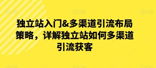 独立站入门&多渠道引流布局策略，详解独立站如何多渠道引流获客网创项目-副业赚钱-互联网创业-资源整合冒泡网