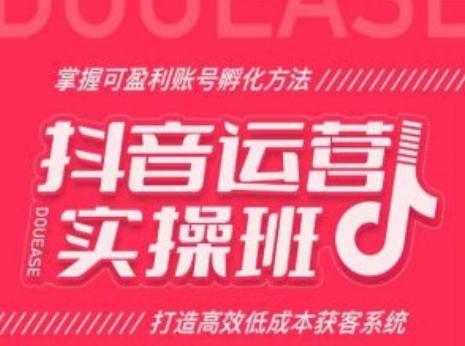 抖音运营实操班，掌握可盈利账号孵化方法，打造高效低成本获客系统网创项目-副业赚钱-互联网创业-资源整合冒泡网