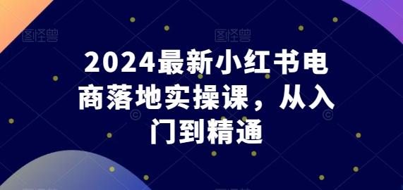 2024最新小红书电商落地实操课，从入门到精通网创项目-副业赚钱-互联网创业-资源整合冒泡网