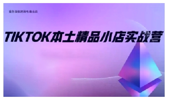 TikTok本土精品小店出海实战营，从入门到高阶，不止0-1!网创项目-副业赚钱-互联网创业-资源整合冒泡网