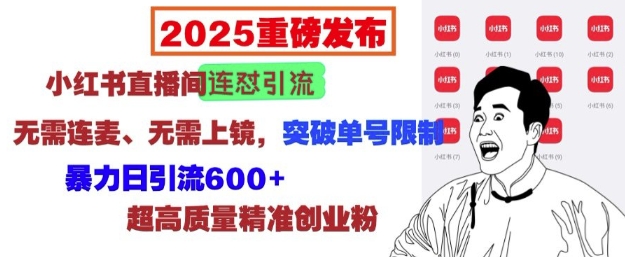 2025重磅发布：小红书直播间连怼引流，无需连麦、无需上镜，突破单号限制，暴力日引流600+网创项目-副业赚钱-互联网创业-资源整合冒泡网