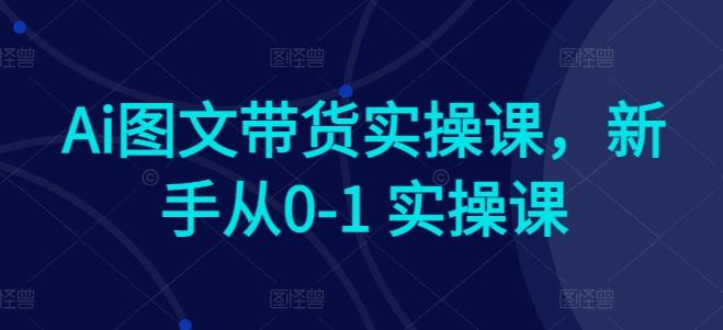 Ai图文带货实操课，新手从0-1 实操课网创项目-副业赚钱-互联网创业-资源整合冒泡网