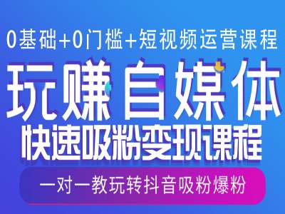 0基础+0门槛+短视频运营课程，玩赚自媒体快速吸粉变现课程，一对一教玩转抖音吸粉爆粉网创项目-副业赚钱-互联网创业-资源整合冒泡网