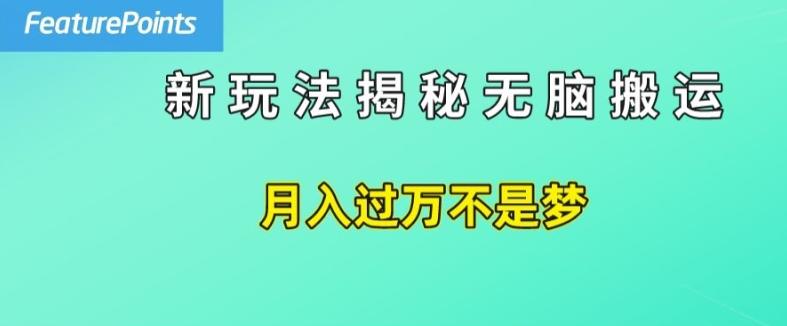 简单操作，每天50美元收入，搬运就是赚钱的秘诀【揭秘】网创项目-副业赚钱-互联网创业-资源整合冒泡网