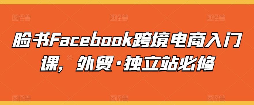 脸书Facebook跨境电商入门课，外贸·独立站必修网创项目-副业赚钱-互联网创业-资源整合冒泡网