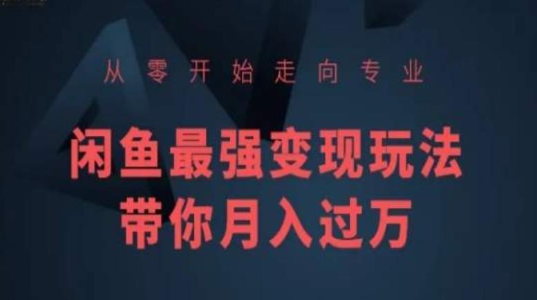 从零开始走向专业，闲鱼最强变现玩法带你月入过万网创项目-副业赚钱-互联网创业-资源整合冒泡网