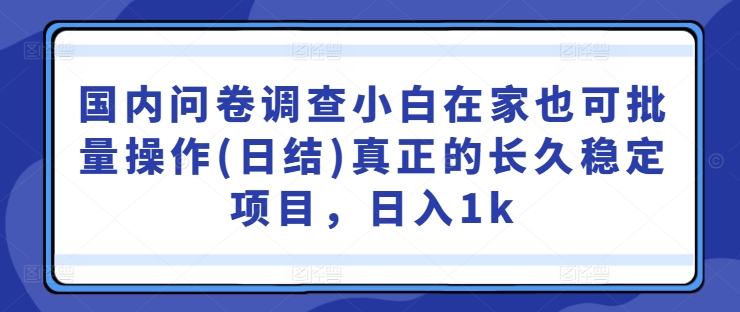 国内问卷调查小白在家也可批量操作(日结)真正的长久稳定项目，日入1k【揭秘】网创项目-副业赚钱-互联网创业-资源整合冒泡网