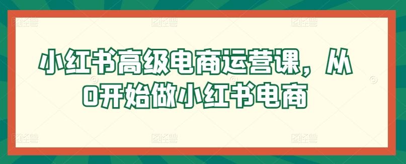 小红书高级电商运营课，从0开始做小红书电商网创项目-副业赚钱-互联网创业-资源整合冒泡网