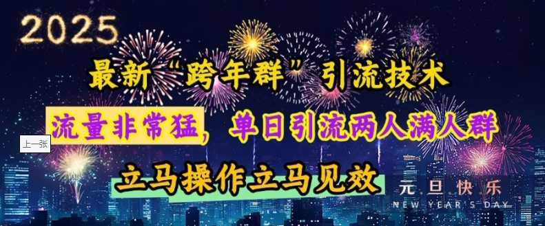 最新“跨年群”引流，流量非常猛，单日引流两人满人群，立马操作立马见效【揭秘】网创项目-副业赚钱-互联网创业-资源整合冒泡网