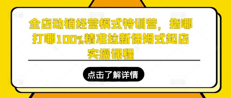 全店动销经营模式特训营，指哪打哪100%精准拉新保姆式起店实操课程网创项目-副业赚钱-互联网创业-资源整合冒泡网