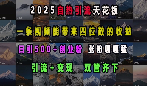 2025自热引流天花板，一条视频能带来四位数的收益，引流+变现双管齐下，日引500+创业粉，涨粉嘎嘎猛网创项目-副业赚钱-互联网创业-资源整合冒泡网