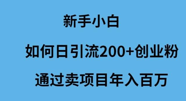 (9668期)新手小白如何日引流200+创业粉通过卖项目年入百万网创项目-副业赚钱-互联网创业-资源整合冒泡网