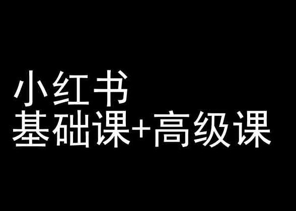 小红书基础课+高级课-小红书运营教程网创项目-副业赚钱-互联网创业-资源整合冒泡网