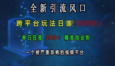 全新引流风口，跨平台玩法日入上k，单日狂揽200+精准创业粉，一个被严重忽略的视频平台网创项目-副业赚钱-互联网创业-资源整合冒泡网