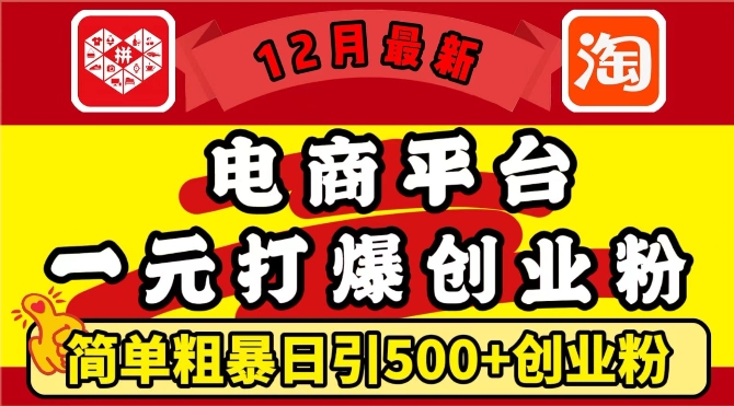 12月最新：电商平台1元打爆创业粉，简单粗暴日引500+精准创业粉，轻松月入过W【揭秘】网创项目-副业赚钱-互联网创业-资源整合冒泡网