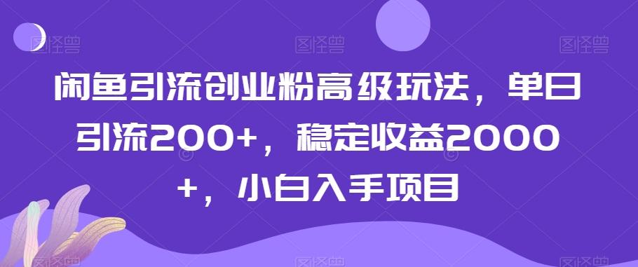 闲鱼引流创业粉高级玩法，单日引流200+，稳定收益2000+，小白入手项目网创项目-副业赚钱-互联网创业-资源整合冒泡网