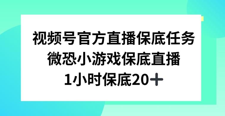 视频号直播任务，微恐小游戏，1小时20+【揭秘】网创项目-副业赚钱-互联网创业-资源整合冒泡网