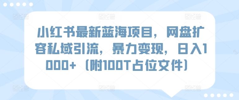 小红书最新蓝海项目，网盘扩容私域引流，暴力变现，日入1000+(附100T占位文件)【揭秘】网创项目-副业赚钱-互联网创业-资源整合冒泡网