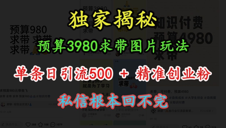 预算3980求带 图片玩法，单条日引流500+精准创业粉，私信根本回不完网创项目-副业赚钱-互联网创业-资源整合冒泡网