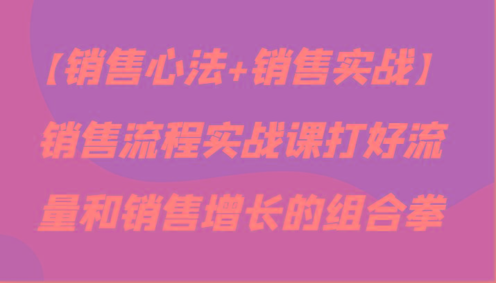 【销售心法+销售实战】销售流程实战课打好流量和销售增长的组合拳网创项目-副业赚钱-互联网创业-资源整合冒泡网