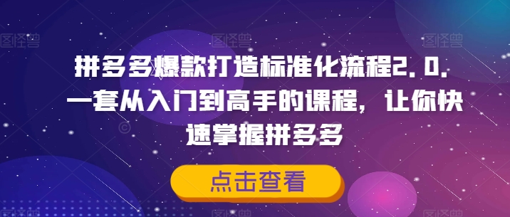 拼多多爆款打造标准化流程2.0，一套从入门到高手的课程，让你快速掌握拼多多网创项目-副业赚钱-互联网创业-资源整合冒泡网