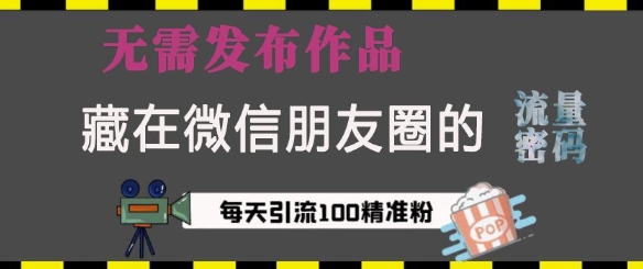 藏在微信朋友圈的流量密码，无需发布作品，单日引流100+精准创业粉【揭秘】网创项目-副业赚钱-互联网创业-资源整合冒泡网